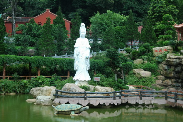 06.jpg